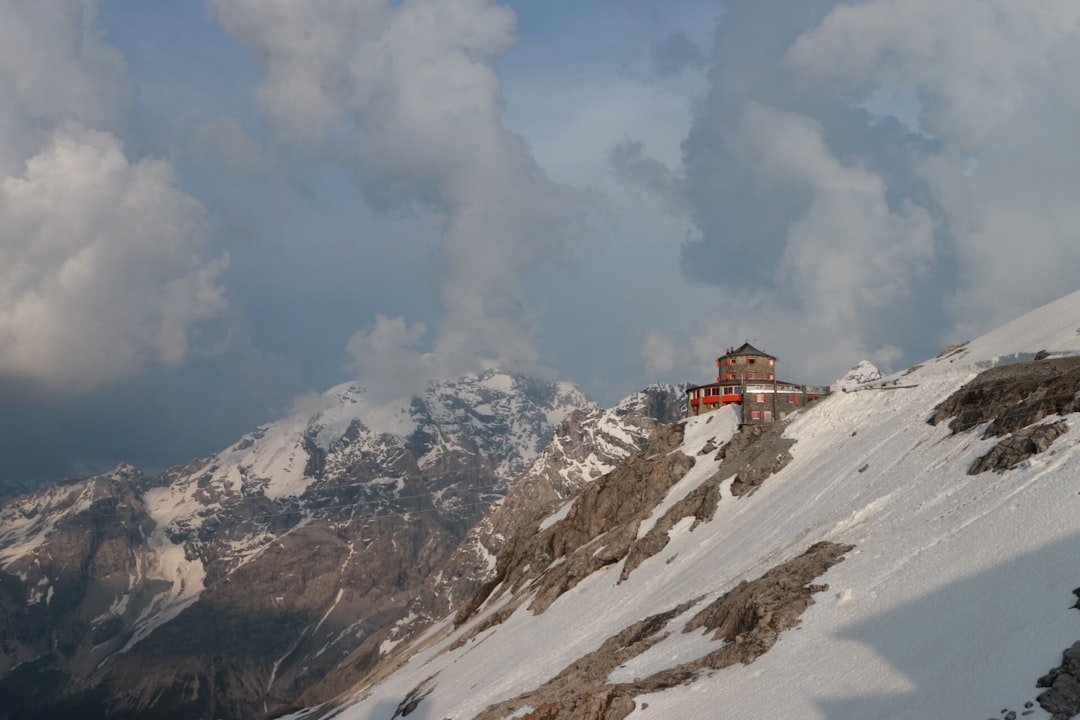 Swiss Raclette